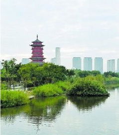 廈門園博苑元旦開園迎客