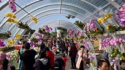 為什么廈門這里能成為新晉網紅打卡地,記者探秘.