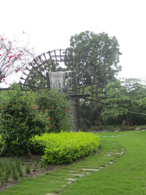 遇見廈門(上海出發五天四夜攻略)