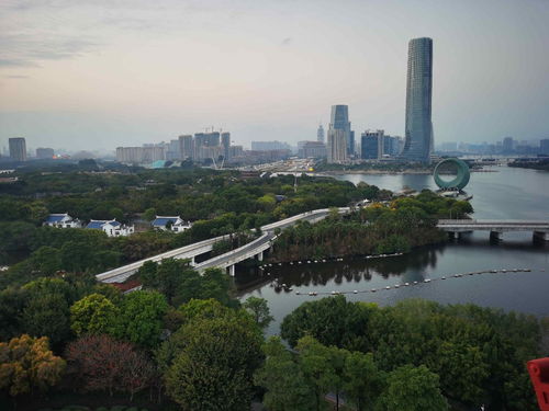 廈門實踐 調研行丨廈門園博苑 半年多清淤吹填800多萬立方米沙土 完成滄海桑田的偉大變遷