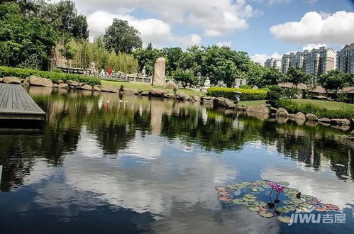 泉州免票政策黃山景區游客爆滿,廈門又有什么免費政策呢 公交免費 動態