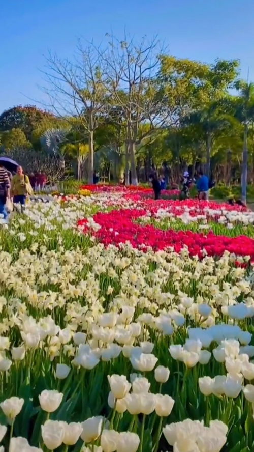 廈門園博苑生態園,旅游的季節又開始了