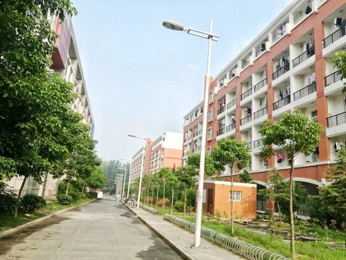 新生季 歡迎你來(lái)鄭大住