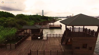 廈門園博苑六一野餐攻略 時(shí)間 地點(diǎn)