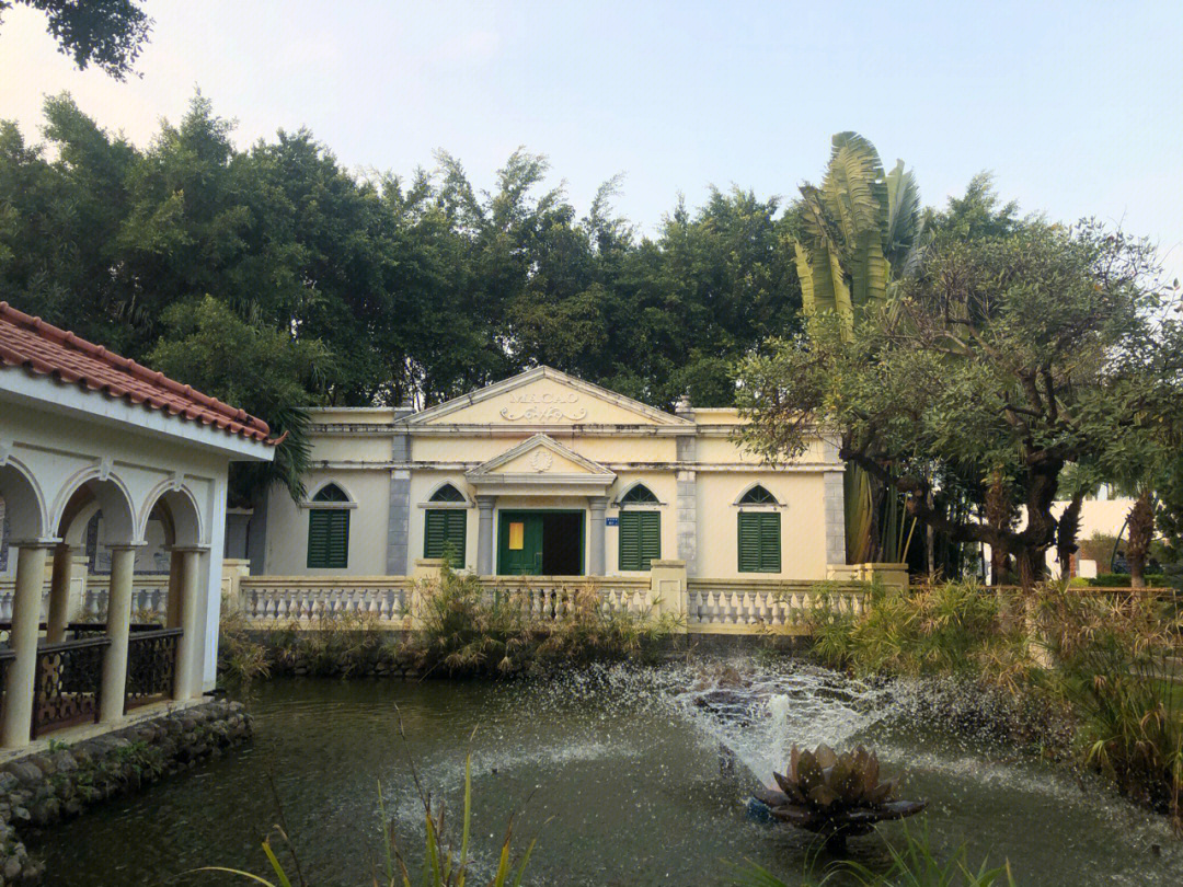 廈門園博苑落羽杉