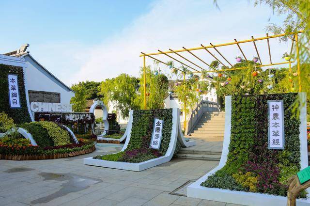 打卡廈門版百草園超千種中草藥2萬㎡展區(qū)就在園博苑