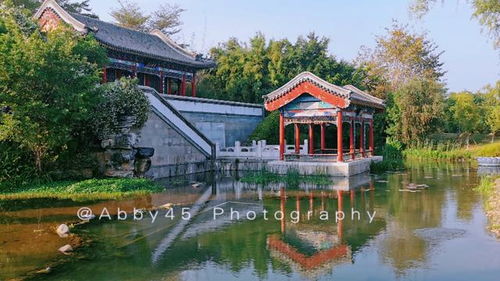 不花錢又想欣賞各地風(fēng)景,可能嗎 這個(gè)五一廈門園博苑幫你實(shí)現(xiàn)
