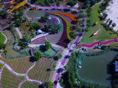 走進(jìn)2018廈門(mén)園博苑的秋天