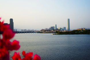 走進(jìn)2018廈門(mén)園博苑的秋天