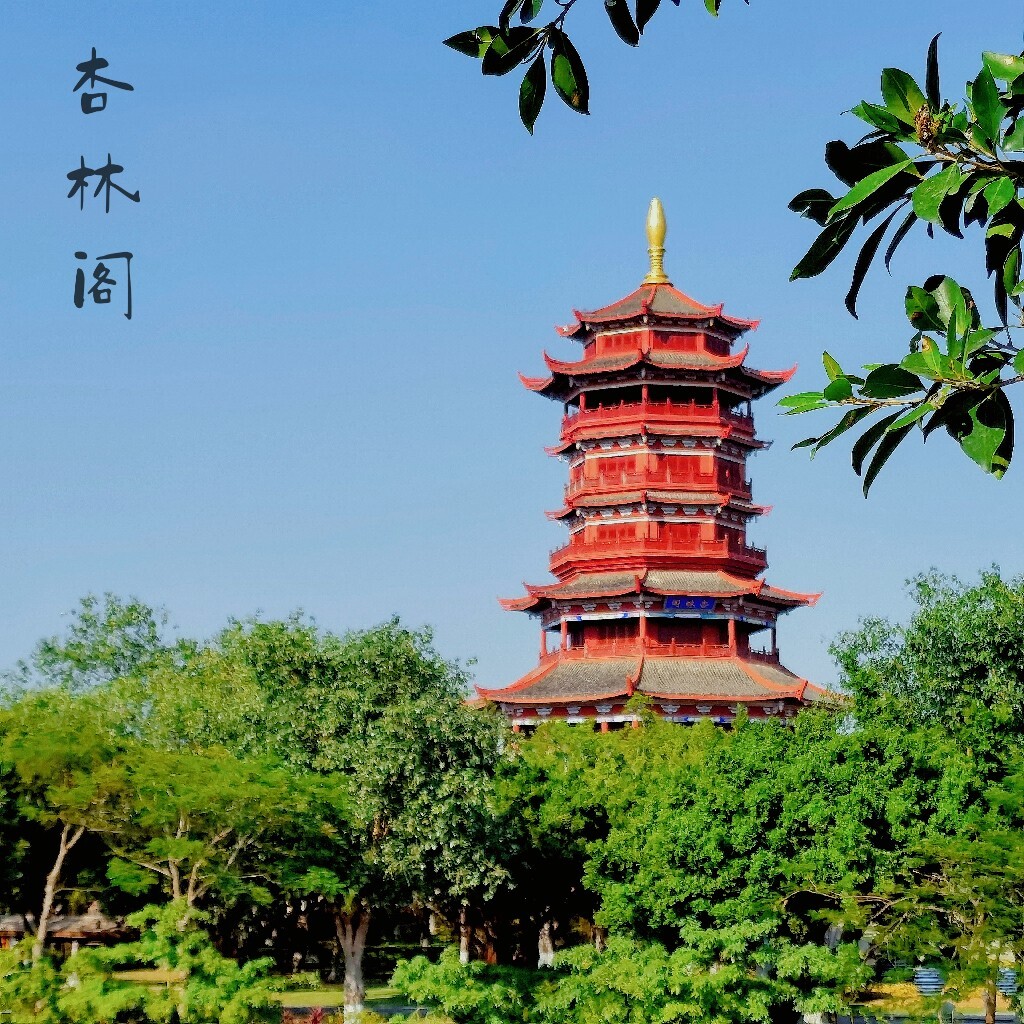 廈門(mén)園博苑游.一一續(xù)編 - 美篇