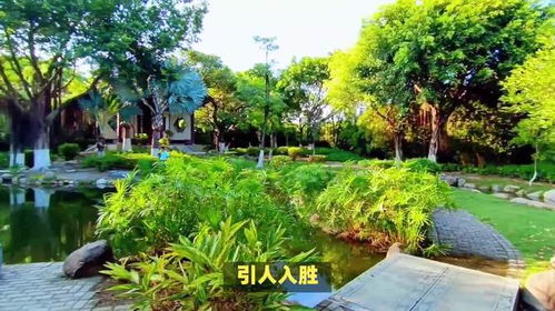 廈門(mén)園博苑 誰(shuí)說(shuō)城市里沒(méi)有天堂