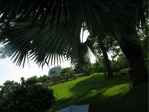 廈門(mén)園博苑