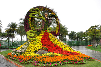 秋風(fēng)颯起,正是賞菊好時(shí)節(jié),相約園博苑,感受廈門(mén)的秋意