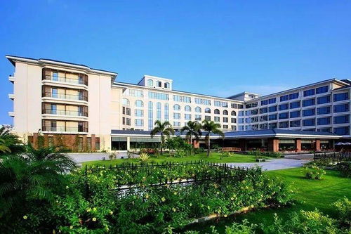 廈門(mén)文旅登上央視新聞聯(lián)播 還有返程高峰 天氣 文旅場(chǎng)所相關(guān)信息要注意