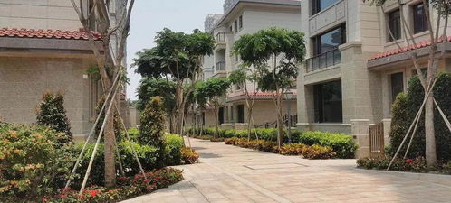 廈門集美 官方售樓處電話丨嘉和豪庭 地址丨樓盤簡介