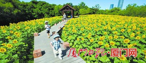 中秋國慶假期臨近 廈門園博苑換上 新妝 迎客