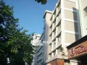 圖 湖濱南路天湖苑附近湖濱雅居單身公寓優價出租 廈門租房 廈門列表網