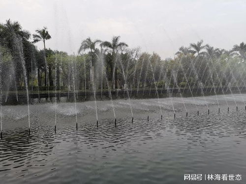 7.廈門園博苑 遭遇風雨 游 被泡湯