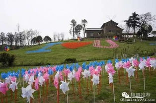 酷爆了 廈門園博苑首屆七彩風車游樂園震撼來襲