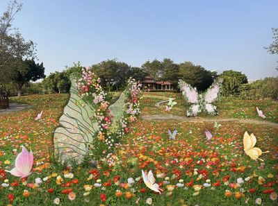 2025廈門園博苑春節花展一覽