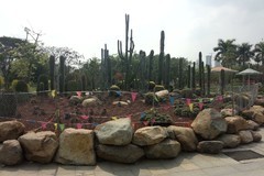 演武大橋觀景臺