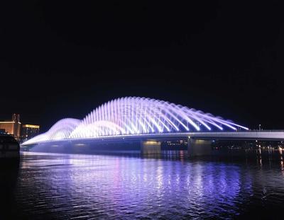 廈門園博苑的那個琴