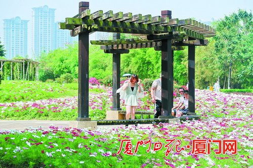 廈門園博苑已免費向社會開放 花香展演慶 五一