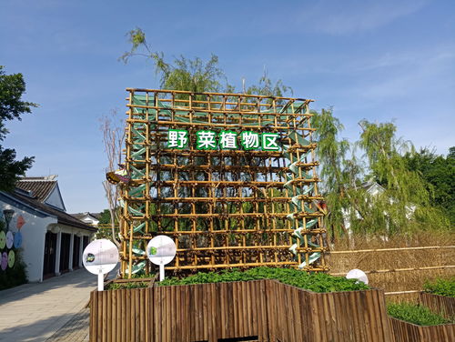 6月25日至7月25日,廈門版 百草園 ,園博苑中草藥植物展將結束