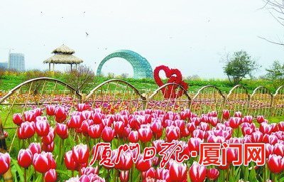 春節到園博苑看表演吃特色美食 植物園展出書畫精品 - 城事 - 東南網廈門頻道