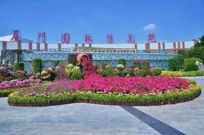 喜迎國慶,廈門太美了!長假賞花海逛公園,收好這份攻略!