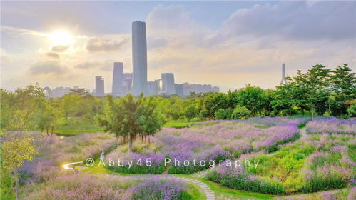 廈門旅行要做的10件事,尤其是第一次來廈門的人做了,才算沒白來