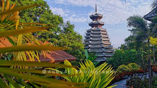 不花錢又想欣賞各地風景,可能嗎 這個五一廈門園博苑幫你實現