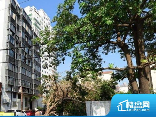 廈門利海苑小區實景圖 廈門樓盤網