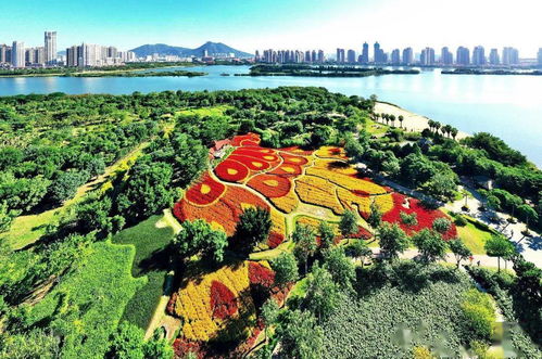 溫馨之旅 看見廈門 攝影賽獲獎作品欣賞 每一張都可以當壁紙