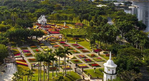 廈門集美 滿 苑 春色關(guān)不住 七彩花卉 踏春 來