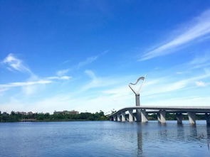 廈門版 普羅旺斯 5000平米夢幻花海,美極了