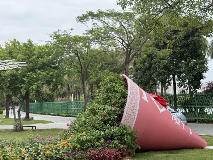 #園博苑三角梅展##十月廈門正是花開好##廈門三角梅繁花似錦好浪漫#