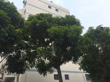 玉鷺苑優點 不足,玉鷺苑怎么樣,玉鷺苑周邊房產中介經紀人評價