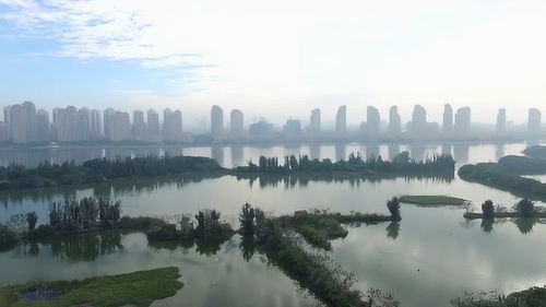 遠(yuǎn)方,歸來 候鳥