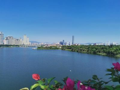 冬季的廈門園博苑,依然如此美麗