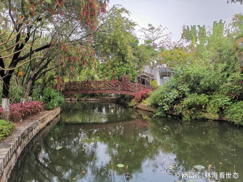 7.廈門園博苑 遭遇風(fēng)雨 游 被泡湯