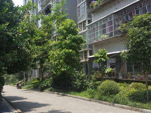 老廠古鎮(zhèn)苑