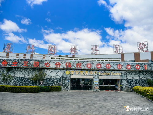 只有10天 錯過又要等一年,廈門園博苑春節郁金香花展美不勝收