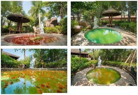 炸翻全城 69.9元溫泉特惠 廈門園博苑溫泉島 天沐溫泉度假村 太極八卦浴 碧海美人區 福海名