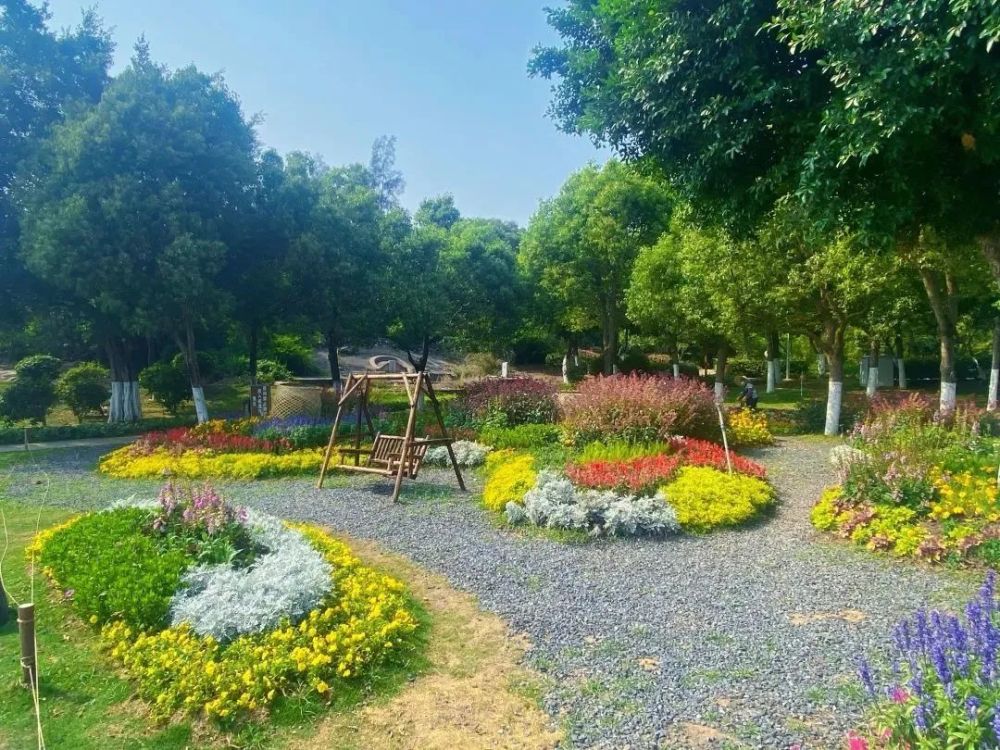 周末走起!廈門這些花海怒放中!一起邂逅&ldquo;紫色浪漫&rdquo;