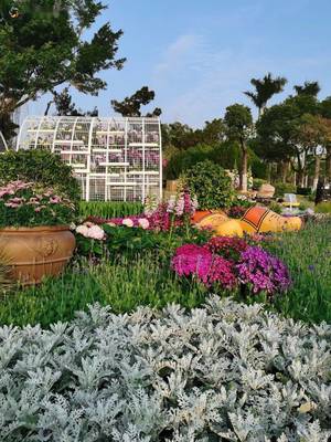 太驚人!暴增99%!就在廈門!