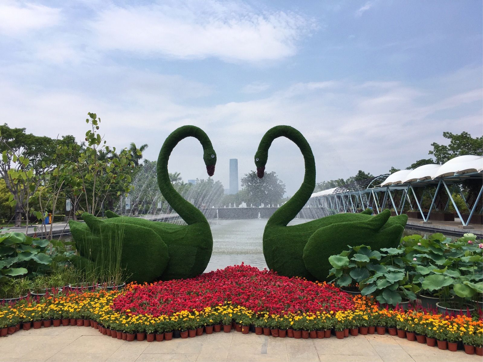 夏荷(廈門園博苑) - 美篇