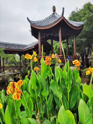 廈門園博苑小景