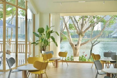 廈門園博苑那么大,怎么玩才不累 機會來了