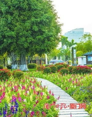 花 式過春節 廈門園博苑推出賞心悅目的新春大餐